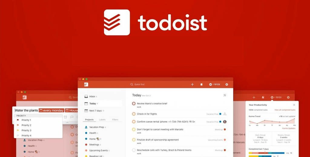 todoist project management integration