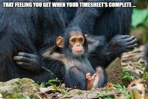 Check Out Our Top Timesheet Memes! - TimeCamp